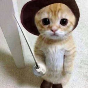 Meet your Posher, Cesar